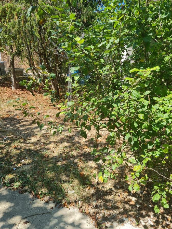 Residence Miranda דיז'ון מראה חיצוני תמונה